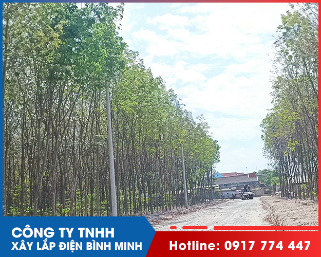 Công Ty TNHH Xây Lắp Điện Bình Minh